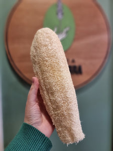 Luffa natural chilena 25cm